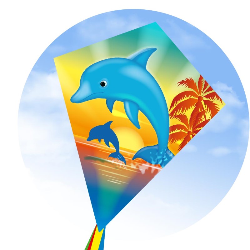 ECO: EDDY DOLPHIN SUNSET 70CM 28"