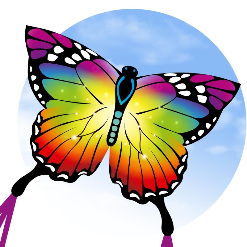 ECOLINE BUTTERFLY KITE RAINBOW