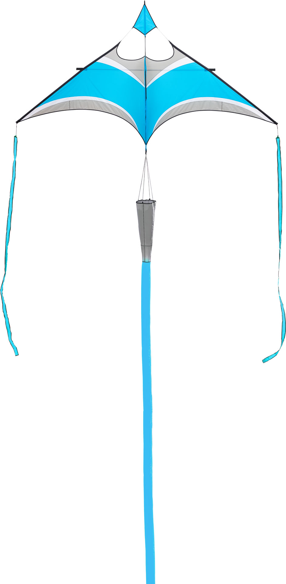 HOFFMANNS CANARD DELTA AQUA