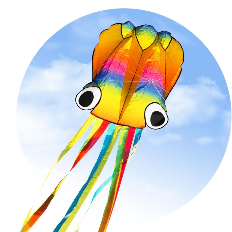 RAINBOW OCTOPUS