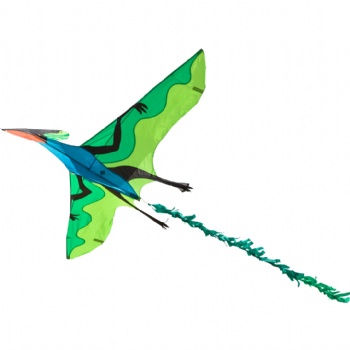 Joel Scholz 3D Kites